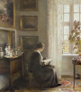 Reading by a Sunny Window