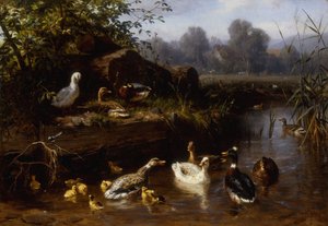 Ducks and Ducklings in a Stream