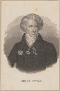 Georges Cuvier (1769 Montbéliard - 1832 Paris) - French Zoologist, Creator of Paleontology