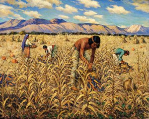 Corn Harvest at Santo Domingo