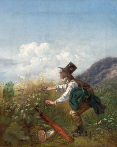 The butterfly catcher Botanist