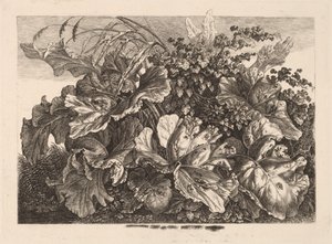 Foliage Study with Reed and Hops by Carl Wilhelm Kolbe