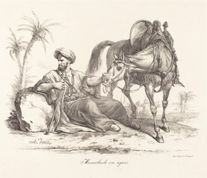A Mameluke Resting