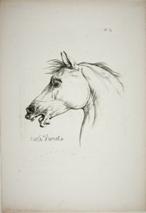 Detail of Horse