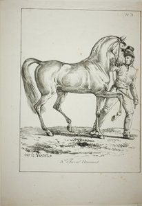 Royal Guard, Norman Cavalier, not in Full Dress, and Horse, No. 3