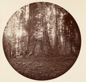 Empire State by Carleton Emmons Watkins