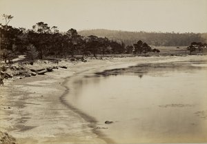 Coast View near Monterey