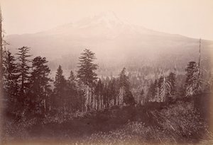 Mount Shasta by Carleton Watkins