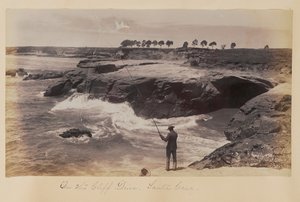 On the Cliff Drive, Santa Cruz by Carleton Watkins