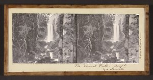 The Vernal Fall. 300 ft. Yosemite by Carleton Watkins
