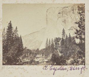 Tutocanula - El Capitan - 3600 feet, Yosemite Valley, Mariposa County, CAL. (No. 1010) by Carleton Watkins