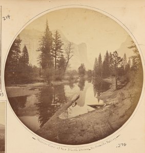 Washington Columns by Carleton Watkins