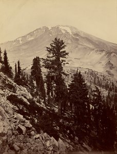 Williamsonii, Mt. Shasta by Carleton Watkins