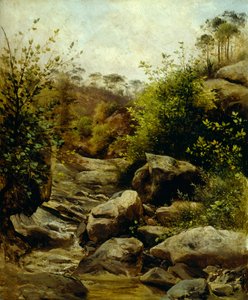 View of Scopeti through rocks