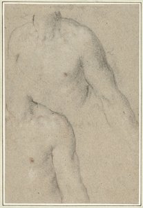 Two Studies of the Torso of a Young Man by Carlo Caliari
