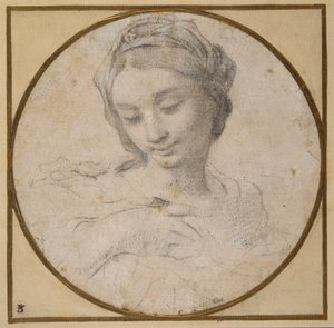 Head and Shoulders of the Virgin by Carlo Cignani