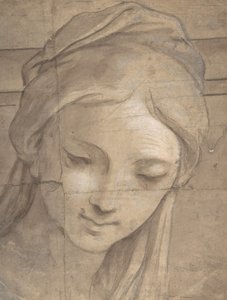 Head of a Young Woman in Three-Quarter View Facing Left by Carlo Cignani