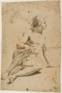 Seated Male Nude by Carlo Cignani