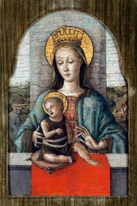 The Virgin and Child by Carlo Crivelli