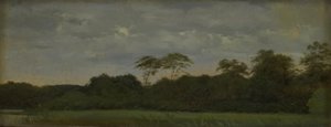 A Meadow by a Forest Lake by Carlo Dalgas