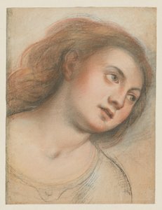 Study for Female Head (verso); Head of Christ (recto)
