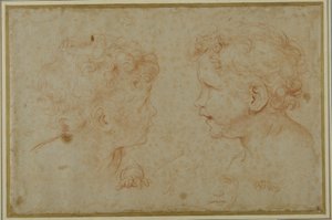 Studies of the head and left hand of a putto