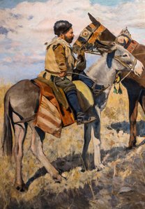 Don Quixote