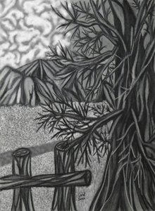 Digital Charcoal Drawing 2 by Carol Sousa Cuello