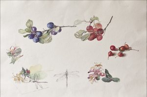 Autumn Fruits and Flowers, 2007