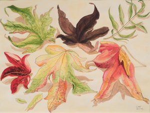 Autumn Leaves