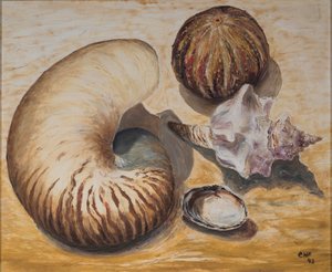 Seashells by Carolyn Hubbard Ford
