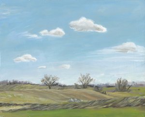 Open Countryside Landscape