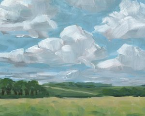 Summer Sky Over Fields