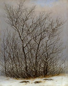 Bushes in the Snow by Caspar David Friedrich