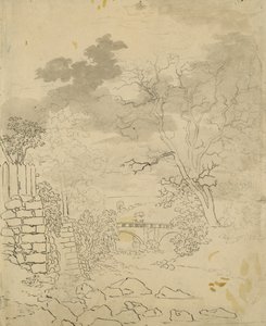 Stream with a Bridge