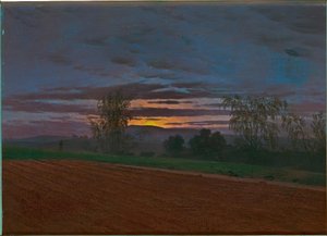 Plowed Field