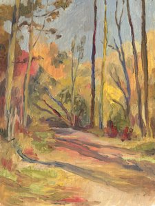 Peaceful Autumn Path