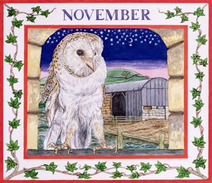 November by Catherine Bradbury