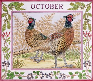October by Catherine Bradbury
