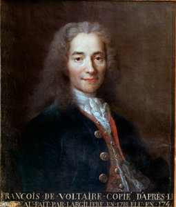 Portrait of Voltaire by Catherine Lusurier