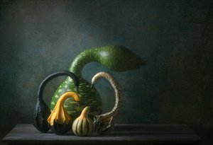 Autumn Gourds Still Life by Catherine Wang