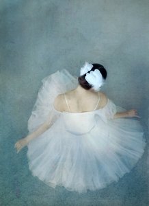Elegant Ballerina Swan by Catherine Wang