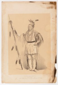 Joc-o-set, the Walking Bear by Catlin, George