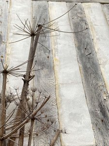 Composition, Architecture by Cécile Jamet