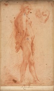 Study of a Standing Male Nude, with a Study of Head in Three-Quarter Profile by Cecco Bravo
