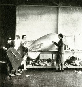 Repairing Barrage Balloons by Cecil Beaton