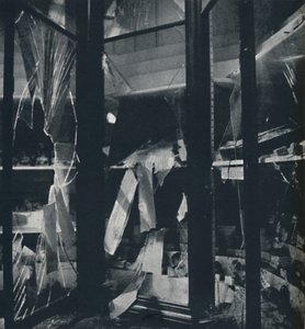 Show Cases in the Natural History Museum