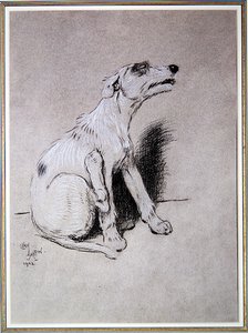 5:15 Awakened by a Bad Attack of Eczema, illustration from A Dog Day by Walter Emanuel by Cecil Charles Windsor Aldin