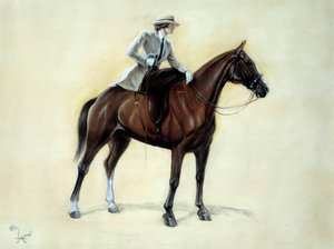 An Elegant Cavalier Rising into an Amazon