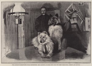 The Jackson-Harmsworth Polar Expedition, Mr Jackson at Home with his Two Best Bear-Dogs, Nimrod and Raving by Cecil Charles Windsor Aldin